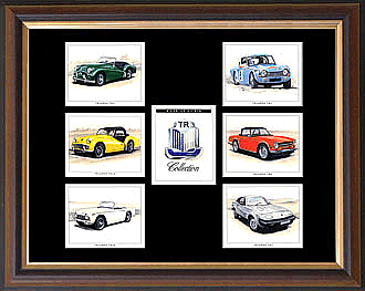 p-tr collection