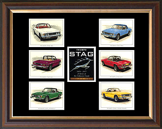 ptr stag